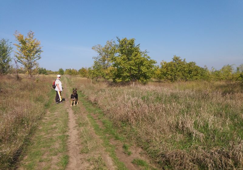 Дня рождения много не бывает - утро второе