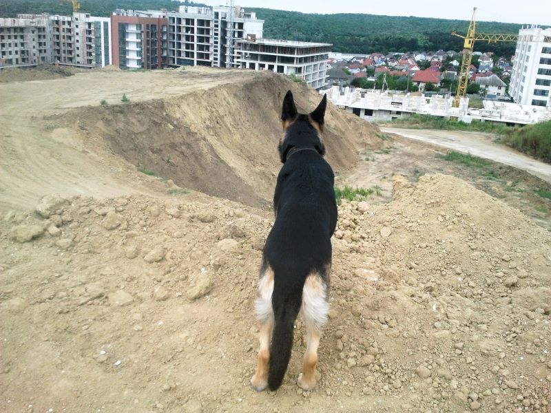 Кейси королева горы
