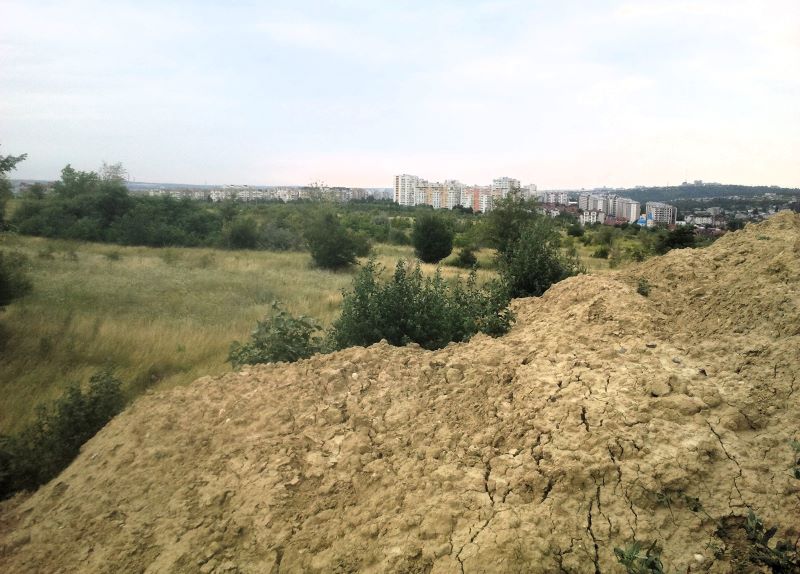 Кейси королева горы