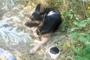 5 часов по жаре