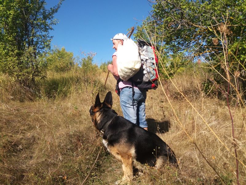 Поход с собакой