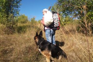 Поход с собакой