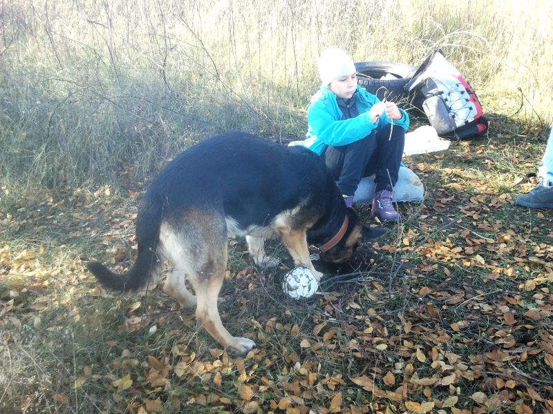 6 часов прогуляла Кейси