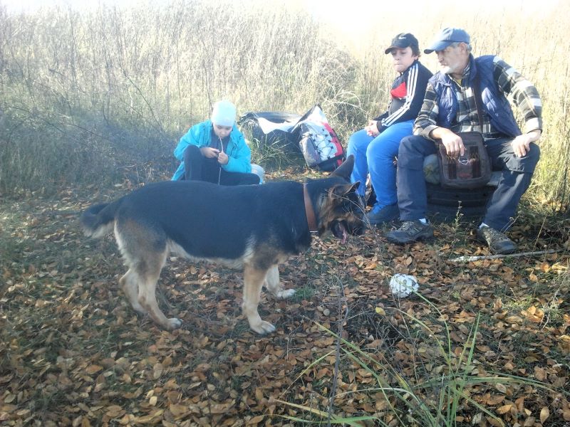 6 часов прогуляла Кейси