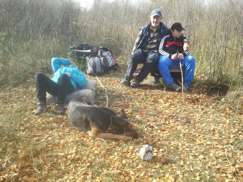 6 часов гуляла Кейси