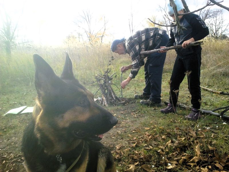 6 часов прогуляла Кейси