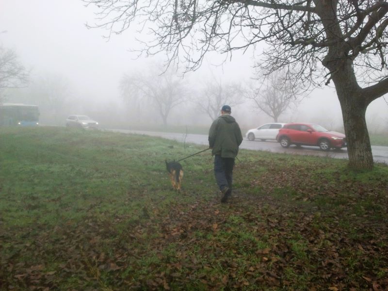 Кейси в тумане