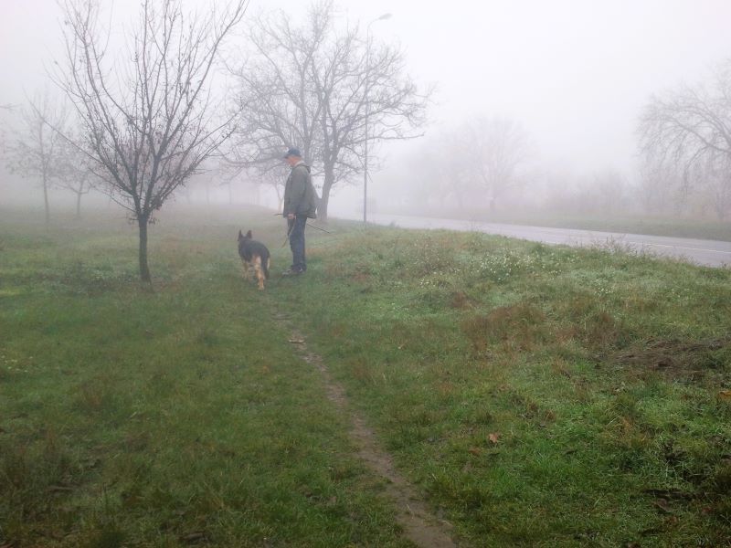 Кейси в тумане