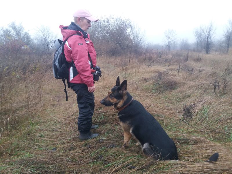 Кейси в тумане