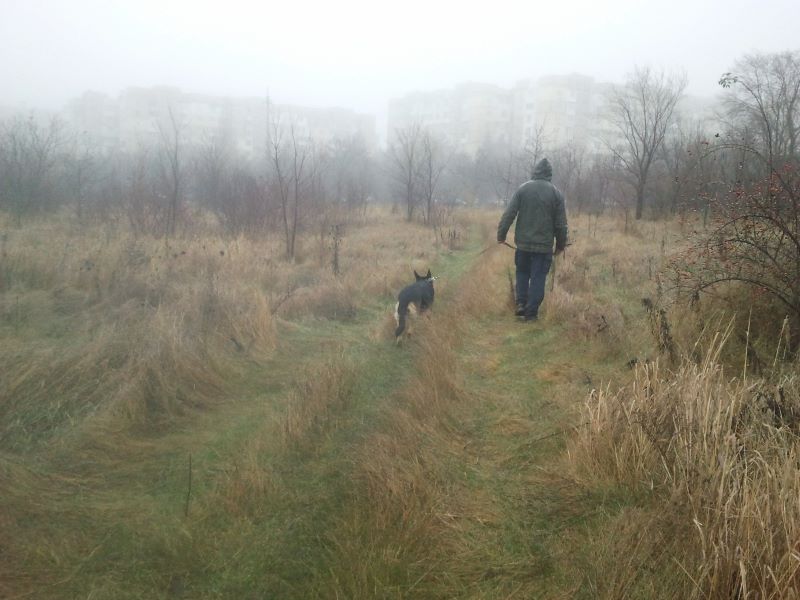 Кейси в тумане