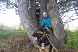 Вторая прогулка осенью внуков с Кейси