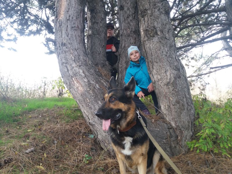 Вторая прогулка осенью внуков с Кейси