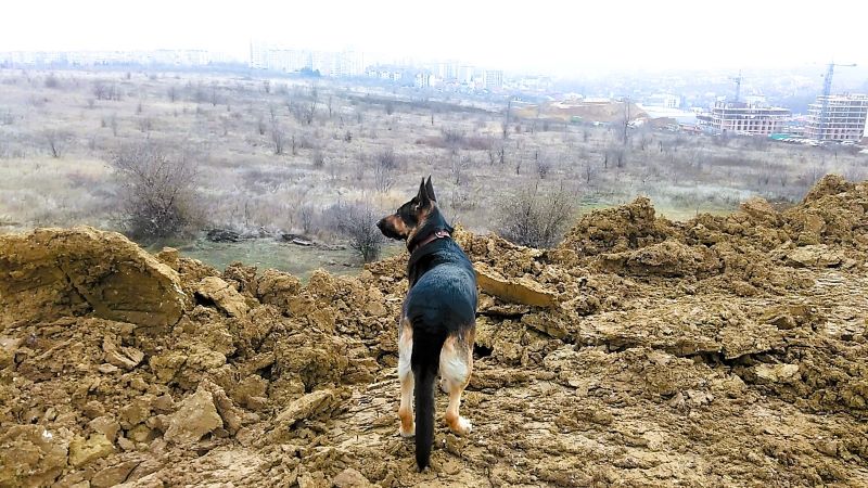 Мороз - и Кейси торжествует