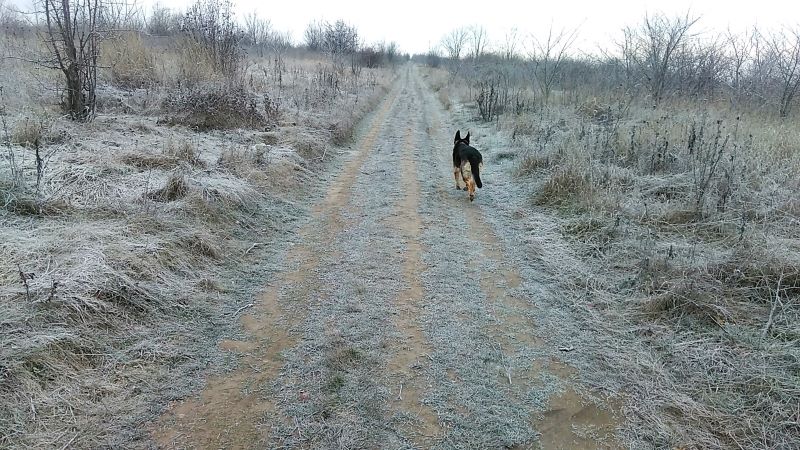Мороз - и Кейси торжествует