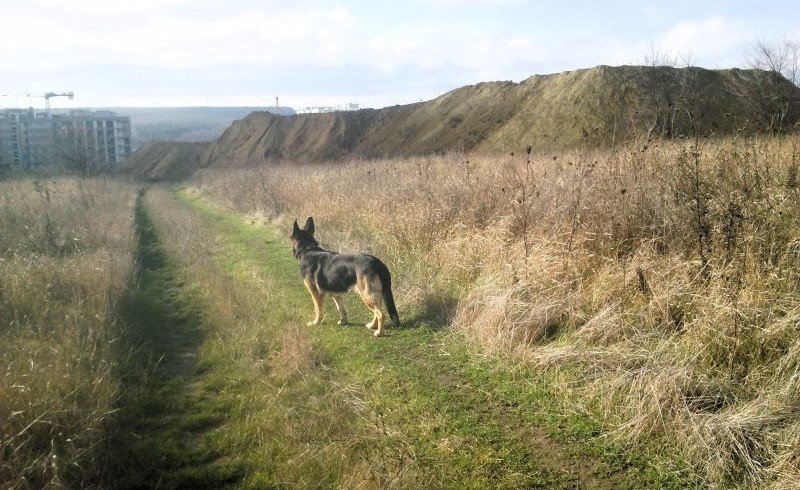 Мороз - и Кейси торжествует