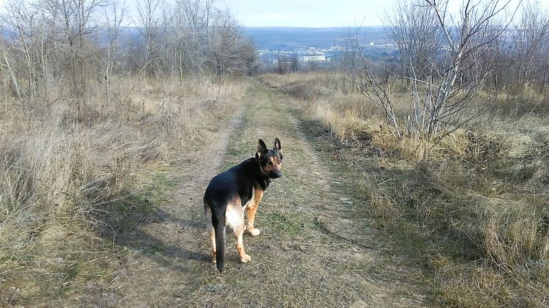 Мороз - и Кейси торжествует