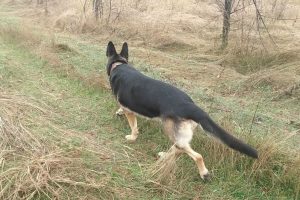 Устроила мне Кейси кардио марафон