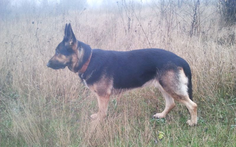 Устроила мне Кейси кардио марафон