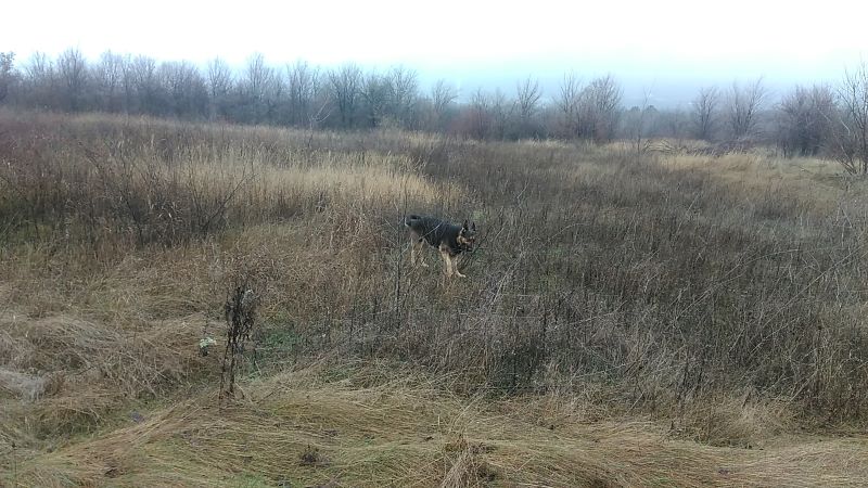 Устроила мне Кейси кардио марафон