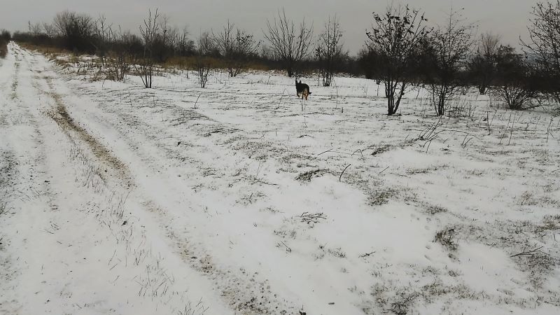 Снег без солнца - день чудесный