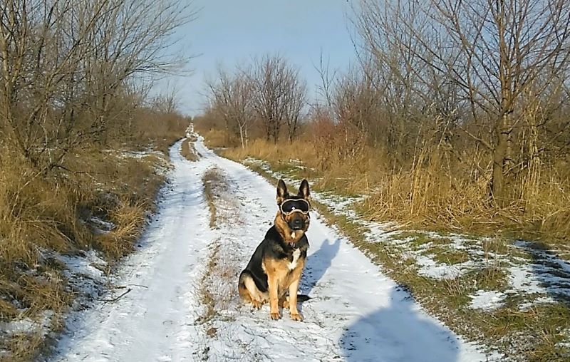 Устроила нам Кейси Новый год