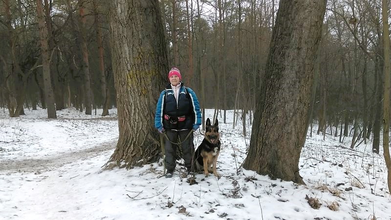 Зимний лесопарк и большая свобода для Кейси