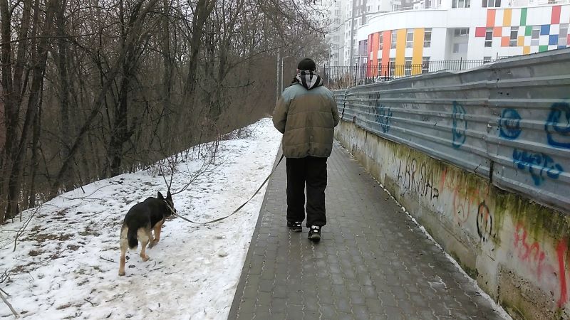 Зимний лесопарк и большая свобода для Кейси
