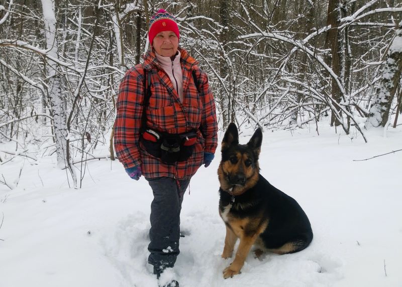 Кейси в царстве снежного леса