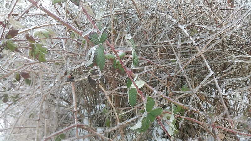 Ледяной мир-2: возвращение Кейси