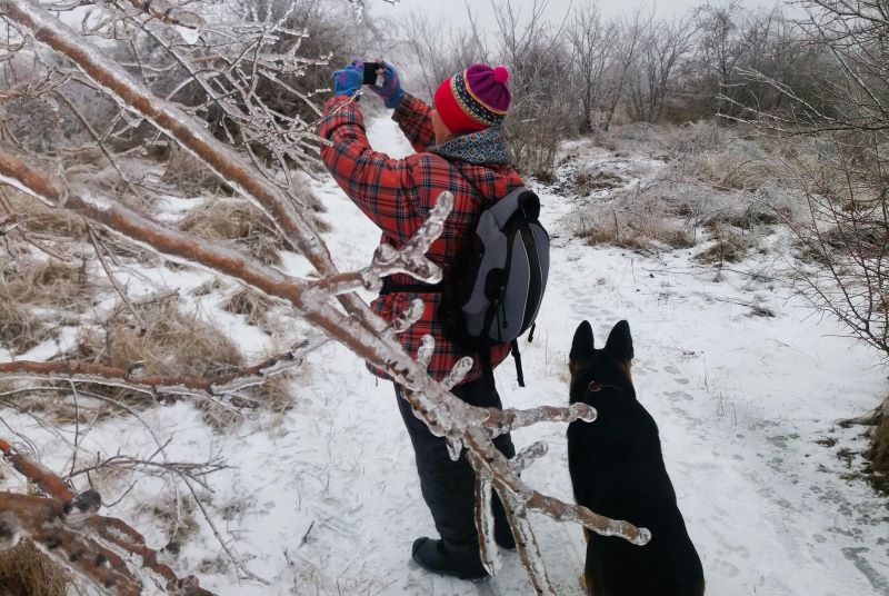 Ледяной мир-2: вощвращение Кейси