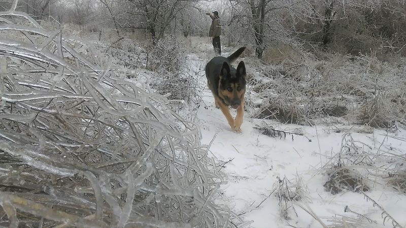 Ледяной мир-2: возвращение Кейси