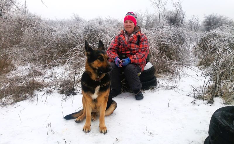 Ледяной мир-2: возвращение Кейси