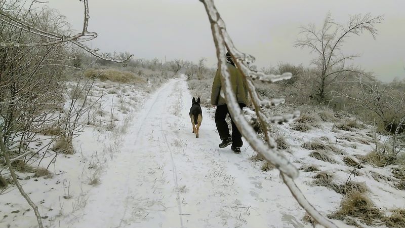 Ледяной мир-2: возвращение Кейси