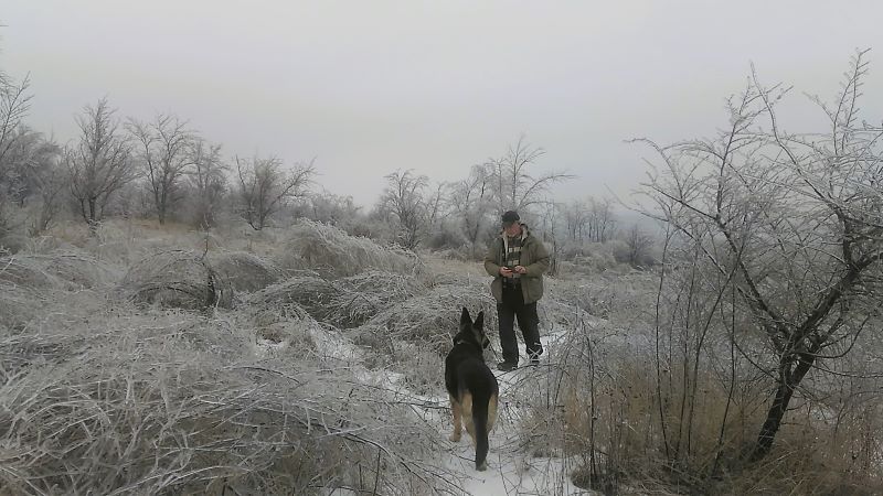 Ледяной мир-2: возвращение Кейси