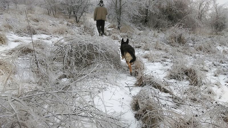 Ледяной мир-2: возвращение Кейси