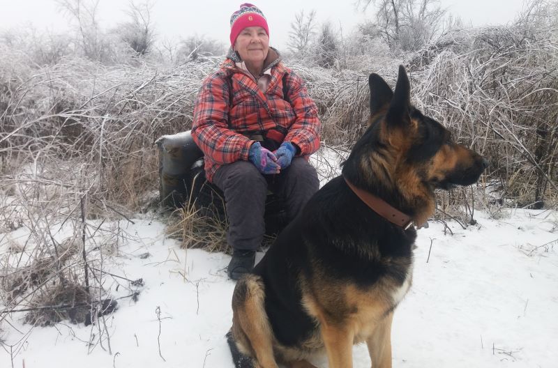 Ледяной мир-2: возвращение Кейси