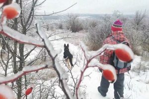 Ледяной мир - красивый и опасный