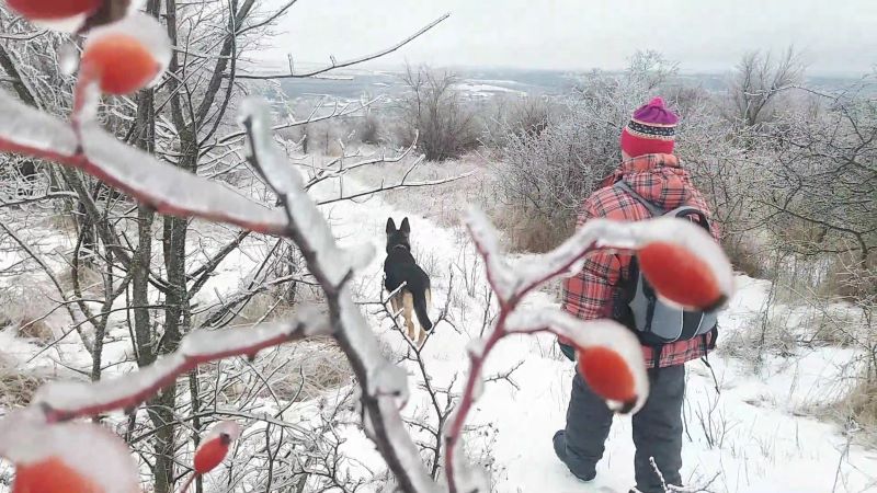 Ледяной мир - красивый и опасный