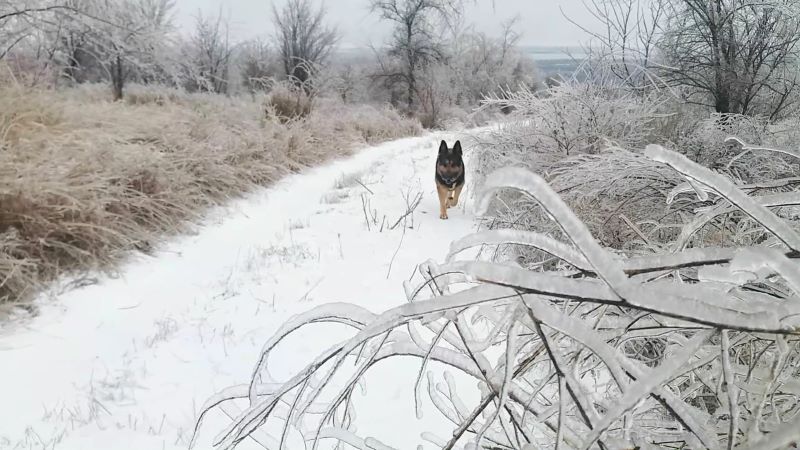 Ледяной мир - красивый и опасный