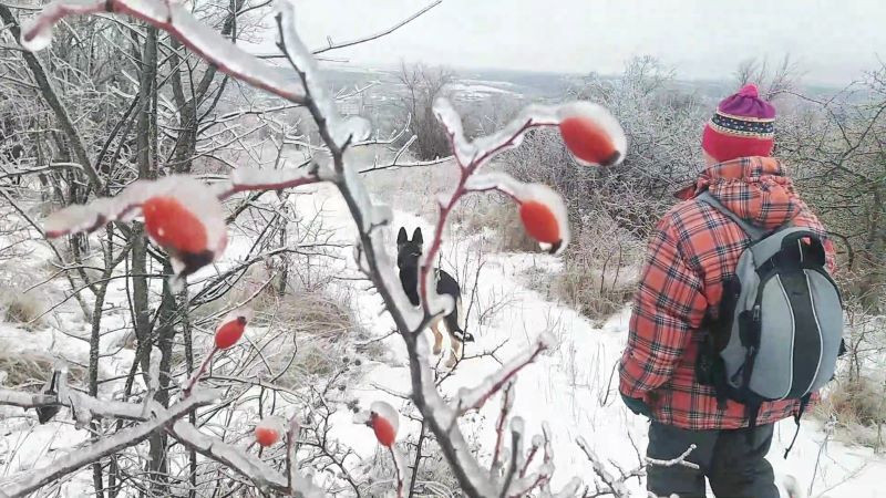 Ледяной мир - красивый и опасный