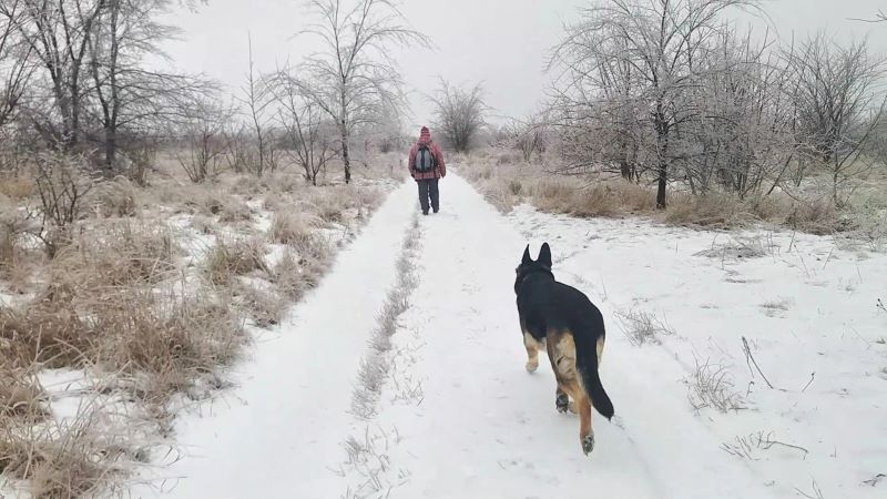 Ледяной мир - красивый и опасный