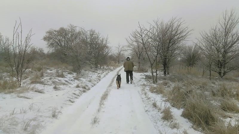 Ледяной мир - красивый и опасный
