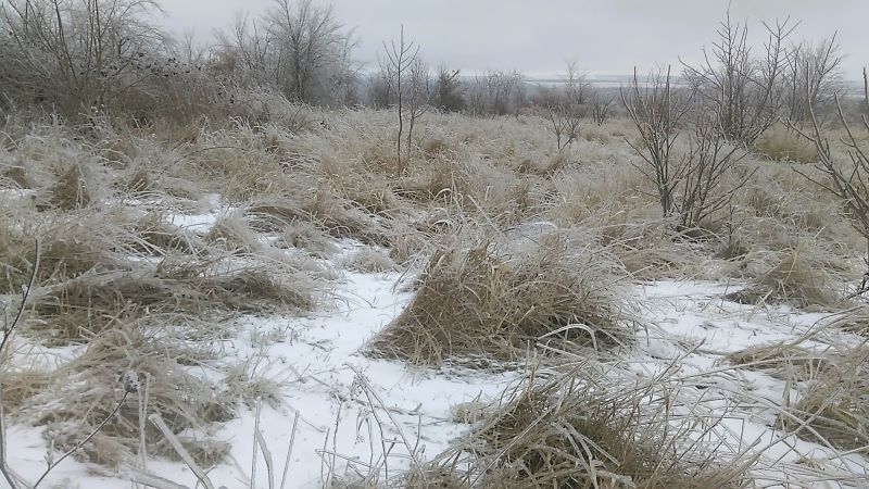 Ледяной мир - красивый и опасный