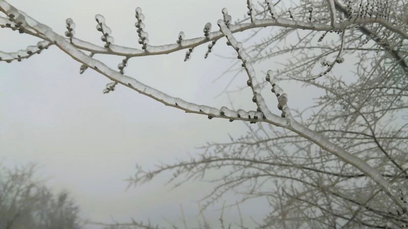 Ледяной мир - красивый и опасный