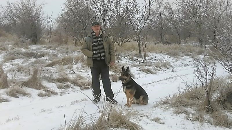 Ледяной мир - красивый и опасный