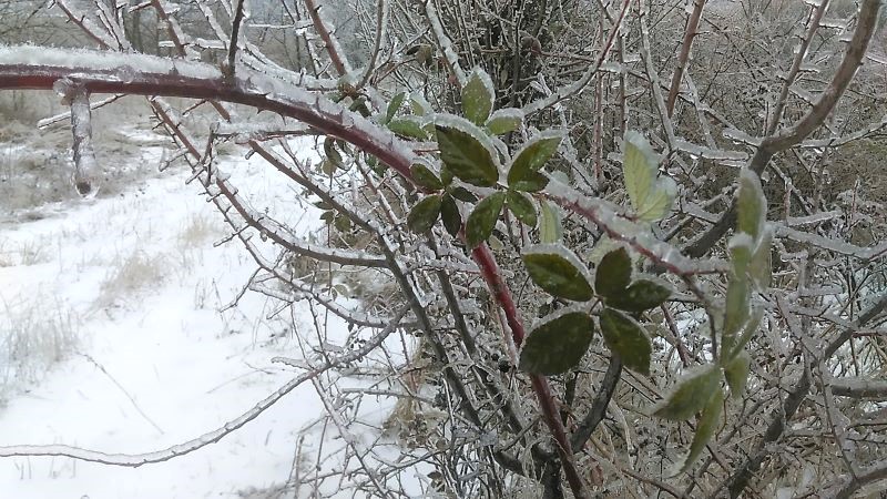 Ледяной мир - красивый и опасный
