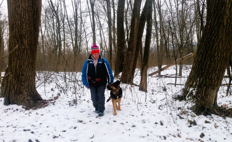 Второй раз в лесопарке: прогулка по-хозяйски