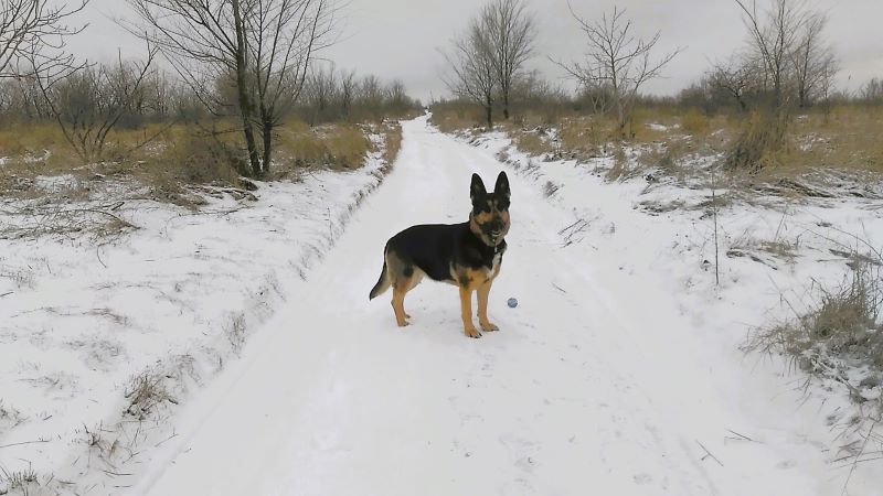 Эверест для Кейси