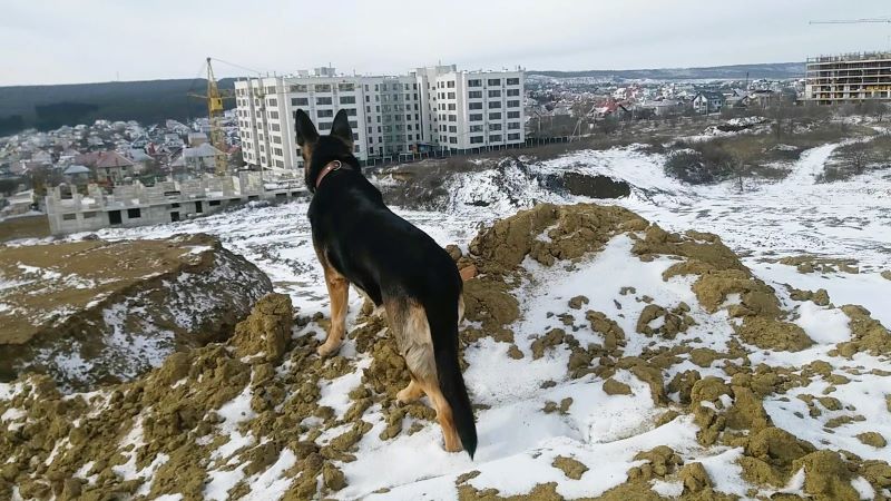 Эверест для Кейси