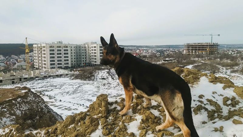 Эверест для Кейси